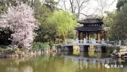 这座有400多年历史的沪上古典园林 你去过吗？[墙根网]