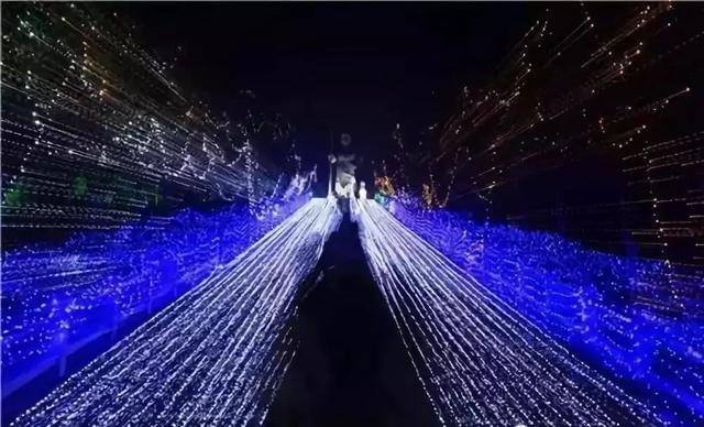 2019年郑州及周边地区新春灯会精彩抢先看[墙根网]