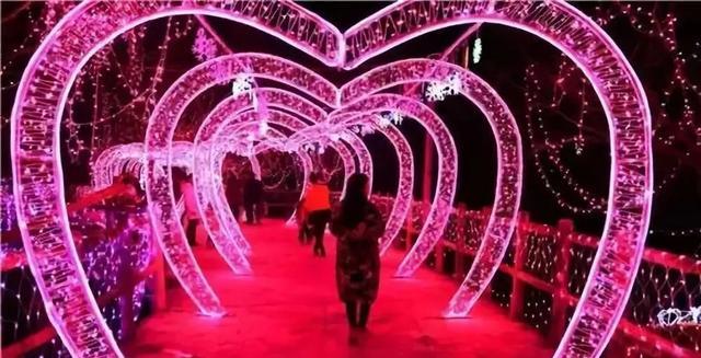 2019年郑州及周边地区新春灯会精彩抢先看[墙根网]
