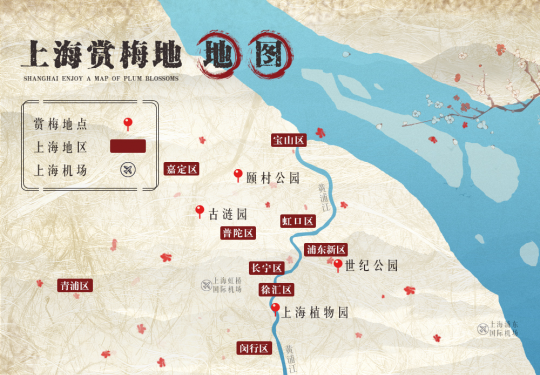 2019上海梅花节即将开幕，上海赏梅去哪儿？最新上海赏梅攻略！