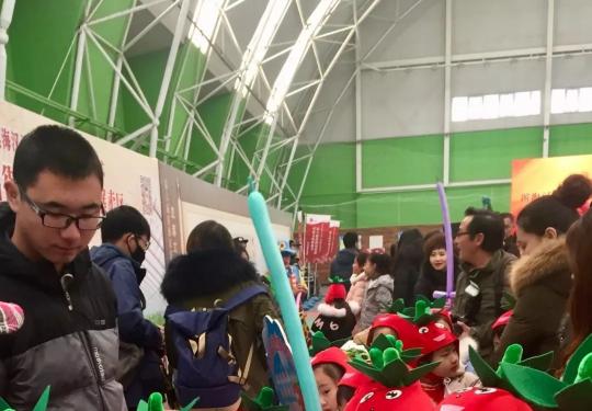 2019天津汉沽街第七届草莓文化旅游节（时间+地点）