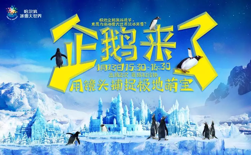 2019哈尔滨冰雪大世界极地企鹅秀时间[墙根网]