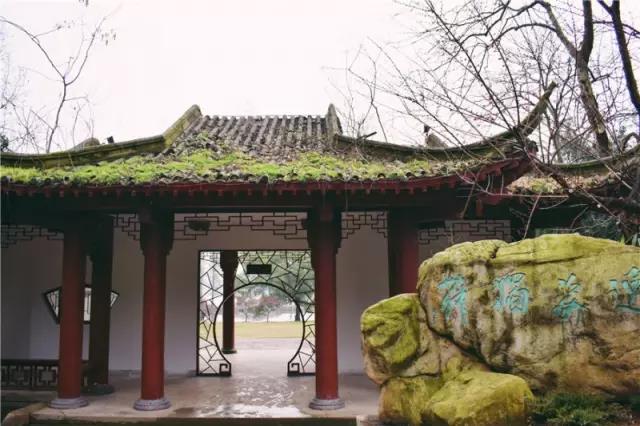 2019武汉东湖梅花节最佳花期时间一览表[墙根网]