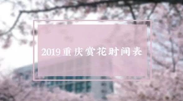2019重庆赏花大典时间表，“花样重庆”每月不重样