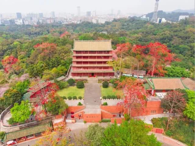 2019广州花市看花9大亮点[墙根网]