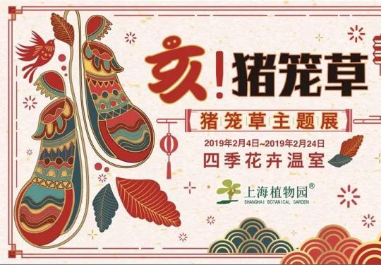 2019上海植物园猪笼草主题展春节期间举办