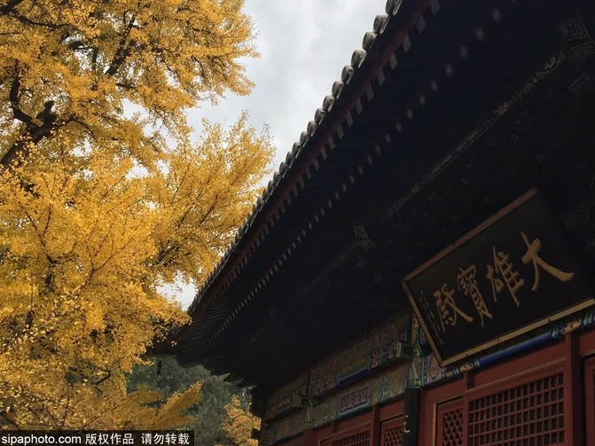 北京有一列“开往春天的小火车”，1h直达北方水乡，沿途景点美翻了！[墙根网]