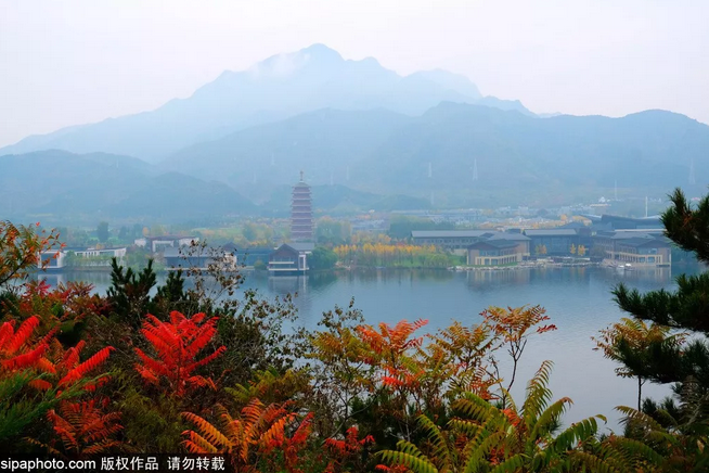 北京有一列“开往春天的小火车”，1h直达北方水乡，沿途景点美翻了！[墙根网]