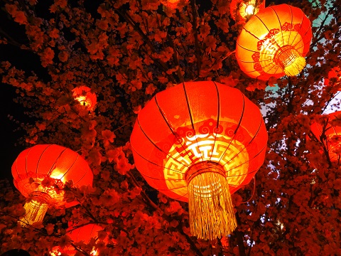2019北京玉渊潭公园春节活动（时间+亮点+门票）