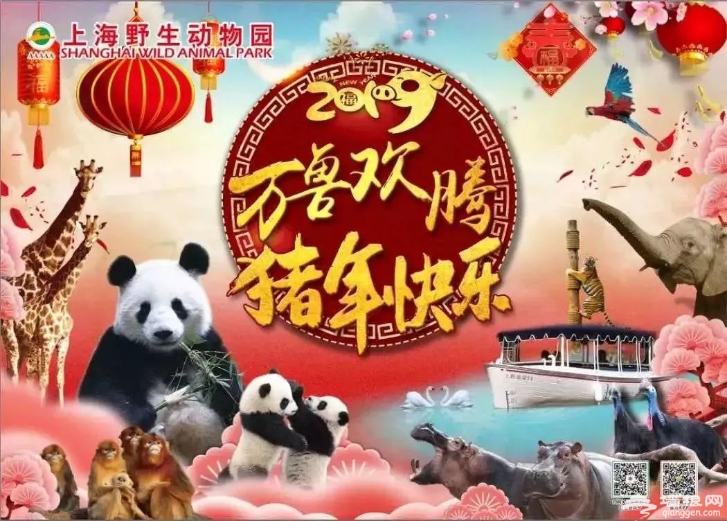 2019上海浦东春节精彩活动一览[墙根网]