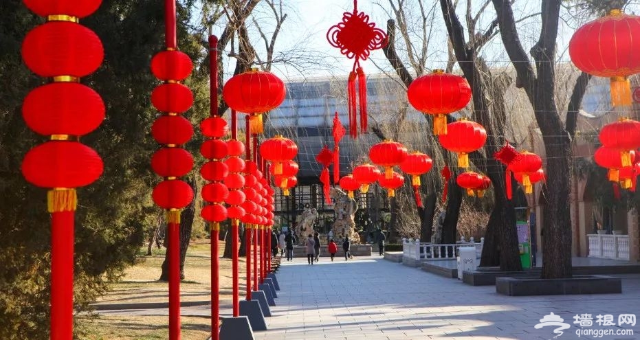 2019北京动物园猪年生肖文化活动时间、内容、门票价格[墙根网]