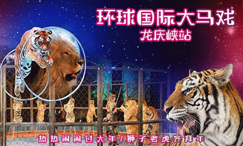 2019龙庆峡春节环球国际大马戏、杂技表演（时间+场次+门票）