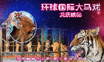 2019龙庆峡春节环球国际大马戏、杂技表演（时间+场次+门票）