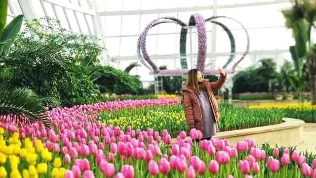 鹿泉十方院300多岁的腊梅惊世绽放！（内附河北赏梅地图）[墙根网]
