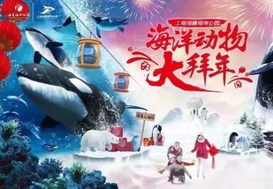 2019上海海昌海洋公园春节攻略大全，带你过个最潮“海派”年！