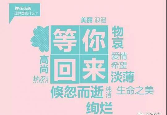 “樱妳而来”2019上海樱花节女子10公里精英赛（时间+地点+报名）