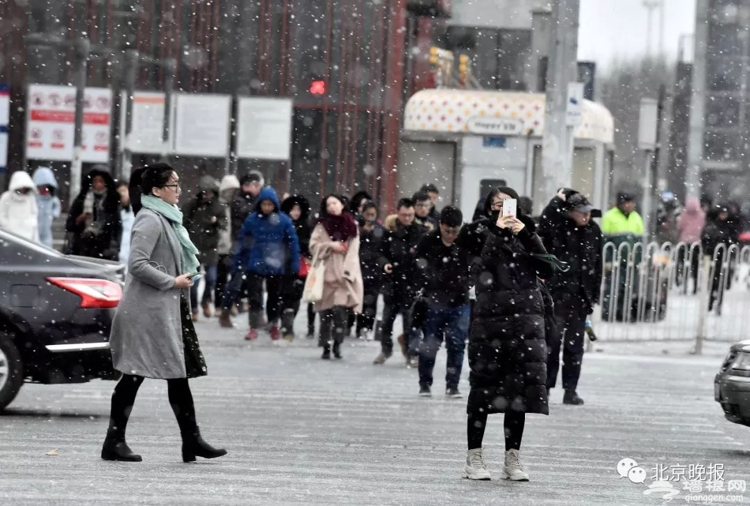 北京终于下了场像样的雪！来故宫看雪，有一个好消息和一个坏消息[墙根网]