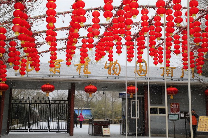 北京10万游客“踏雪迎春” 卧佛寺将进入蜡梅最佳观赏期[墙根网]