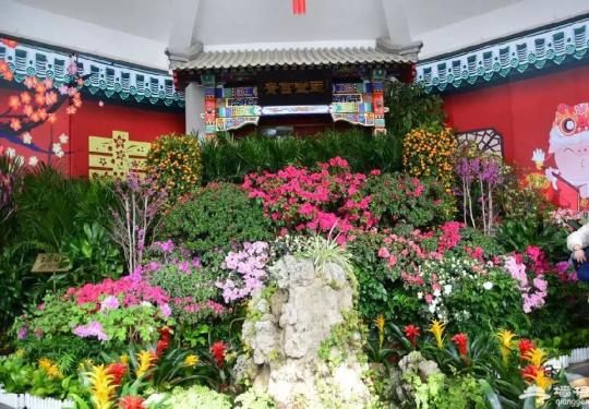 2019北京中山公园唐花坞、蕙芳园室内花展活动时间内容详情