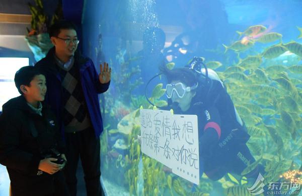 上海海昌海洋公园情人节上演水下“为爱负重”蔚蓝海底浪漫出击[墙根网]