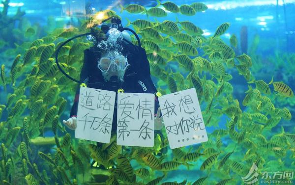 上海海昌海洋公园情人节上演水下“为爱负重”蔚蓝海底浪漫出击[墙根网]