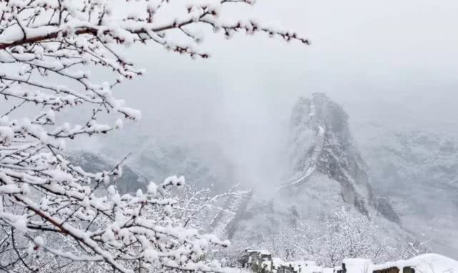 2019首届长城梅花节（时间+地点+门票+活动内容）[墙根网]