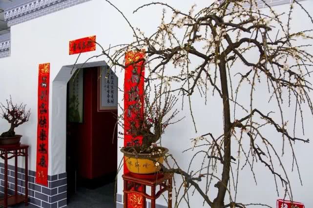 2019首届长城梅花节（时间+地点+门票+活动内容）[墙根网]