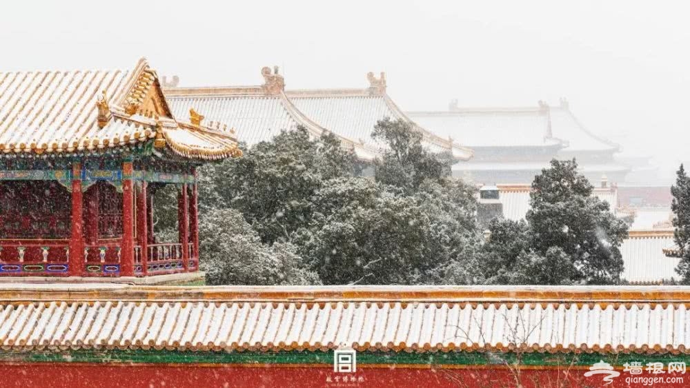 故宫，你怎么变成这样了？[墙根网]