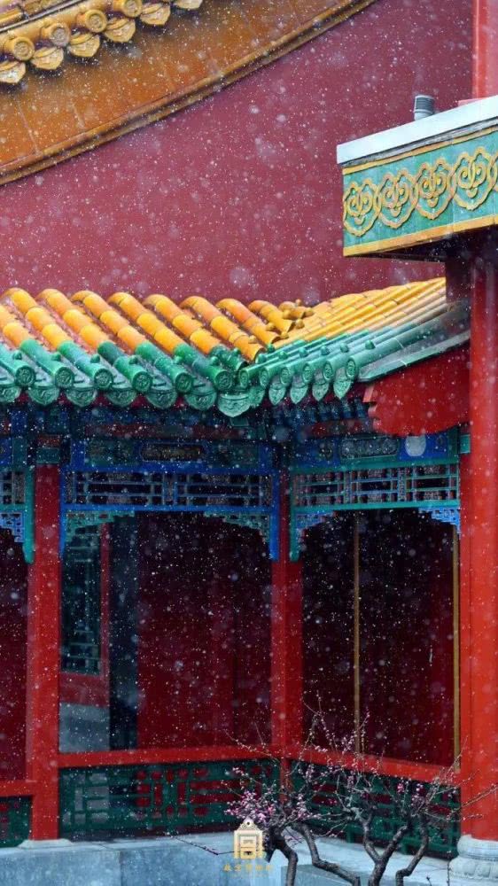 故宫，你怎么变成这样了？[墙根网]