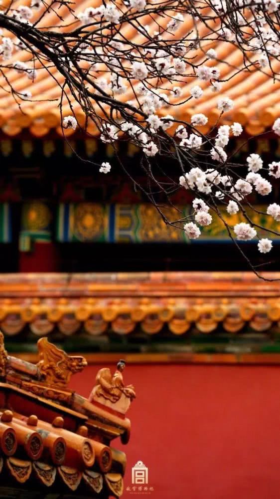 故宫，你怎么变成这样了？[墙根网]