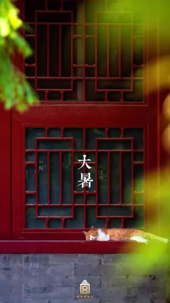 故宫，你怎么变成这样了？[墙根网]