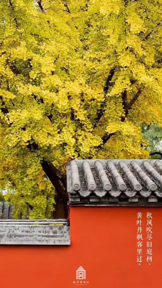 故宫，你怎么变成这样了？[墙根网]