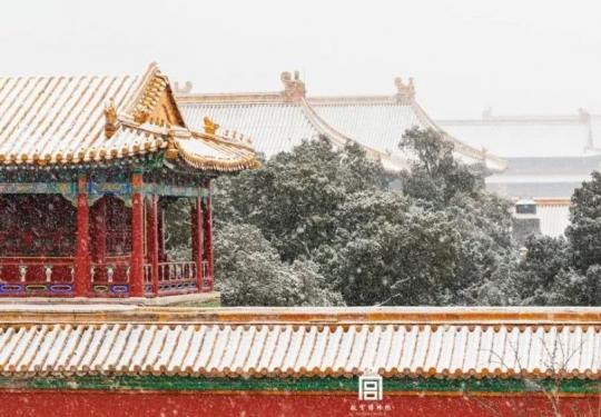 故宫，你怎么变成这样了？
