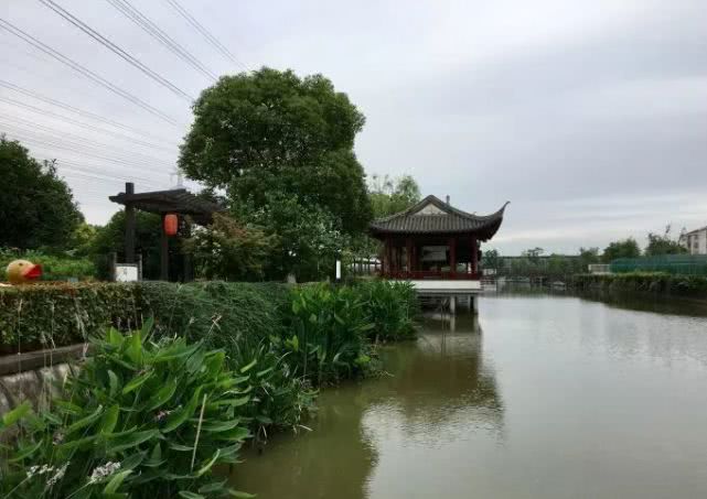 2019上海草莓采摘地图[墙根网]