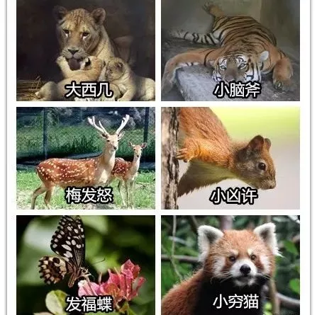 上海动物园今年要开新园区了！足足30000平方米！[墙根网]