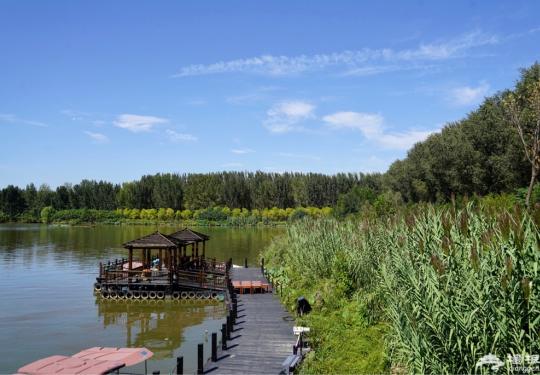 北京春游不知道去哪玩？这几大湿地公园适合赏花、观鸟、拍照