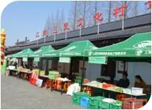 2019上海崇明区二月二龙抬头文化旅游节3.8开幕[墙根网]