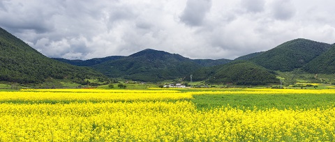 春季来房山赏花 赏花地图已经准备好了[墙根网]