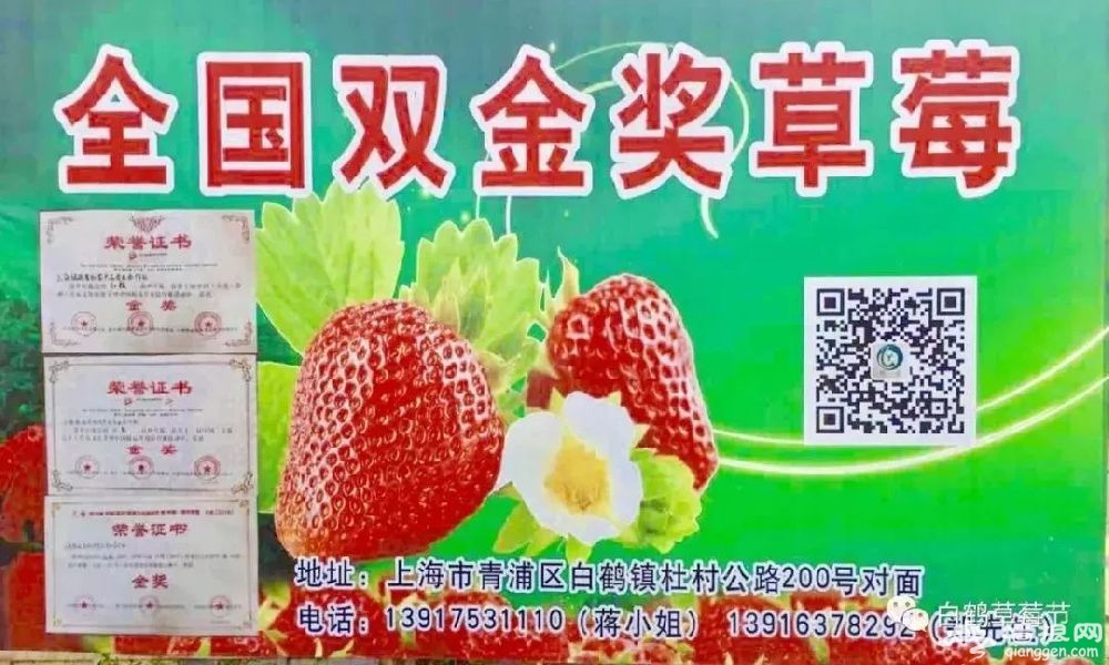 2019上海白鹤草莓节（时间+地点+活动攻略）[墙根网]