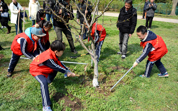 2019上海共青森林公园植树节活动 推出五大树种供认养