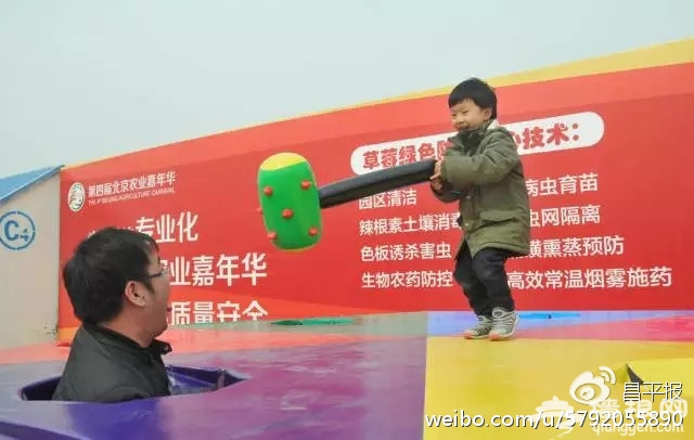 亲子游戏