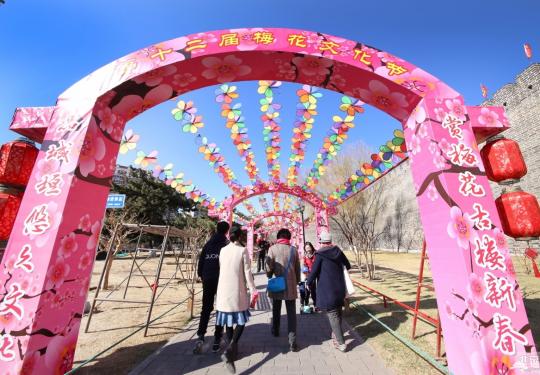 2019北京明城墻遺址公園梅花文化節“搶先看”