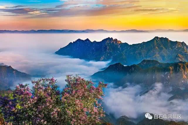 2019河北各景区三八节活动汇总[墙根网]