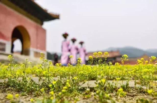 2019河北各景区三八节活动汇总[墙根网]