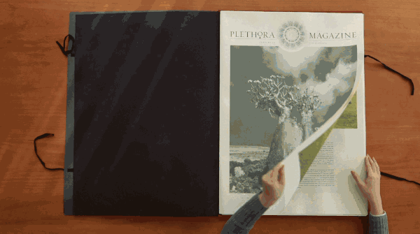 刘若英老公买下北京二环胡同房，开了家与世隔绝的图书馆[墙根网]