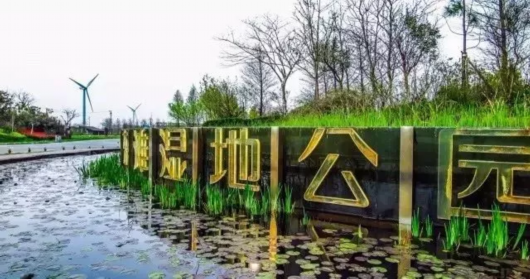 上海十大最美湿地都在这里，来看魔都自然风光[墙根网]