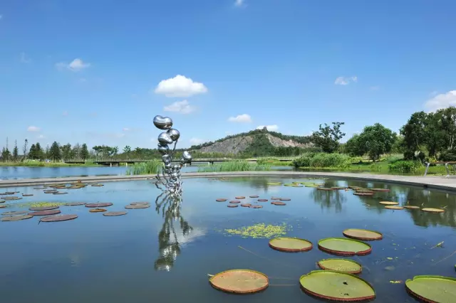 上海辰山植物园湿地游玩攻略[墙根网]
