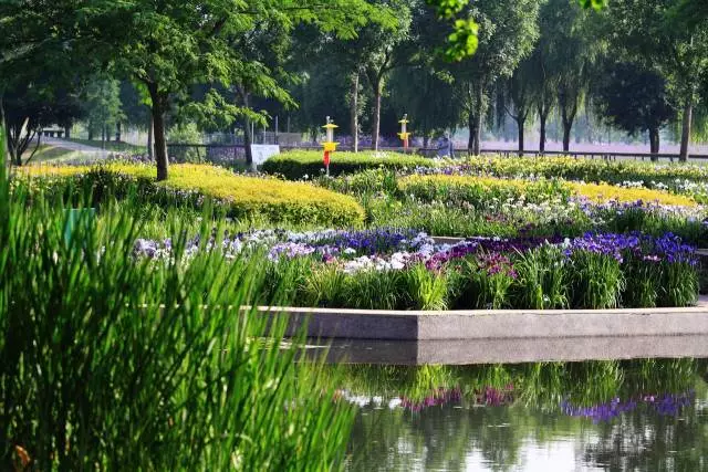 上海辰山植物园湿地游玩攻略[墙根网]