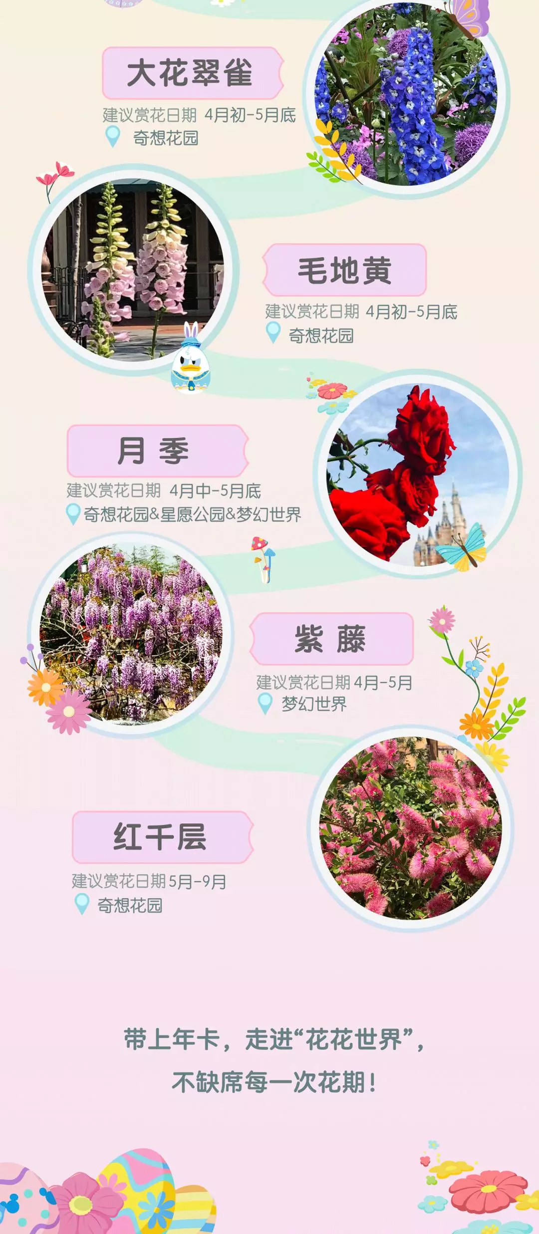 2019上海迪士尼度假区春季赏花指南[墙根网]