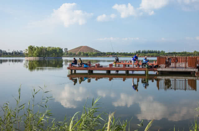 2019巨鹿五彩杏花节（举办时间+地点+游玩攻略）[墙根网]